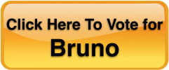 Vote for Bruno